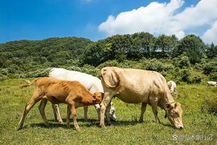 范弗里特：乌度卡擅长鼓励球员 他是位优秀导师&出色的领导者